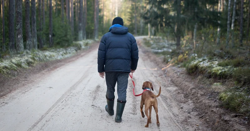 Camping avec spa privatif et chien accepté : ce qu'il faut savoir