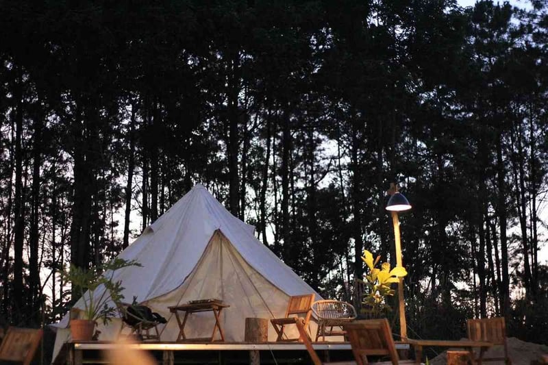 Escapade romantique en camping sous les étoiles : le guide parfait