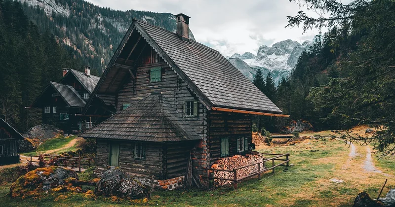 Construire sans outils ni corde : le lean-to 100 % naturel