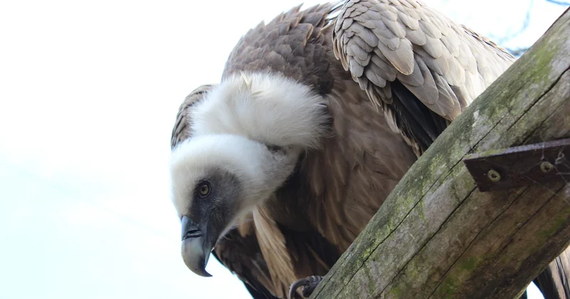 Balades ludiques et chasses au trésor